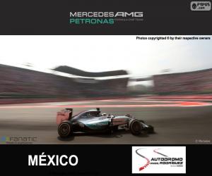 пазл Гамильтон, Гран-при Мексики 2015
